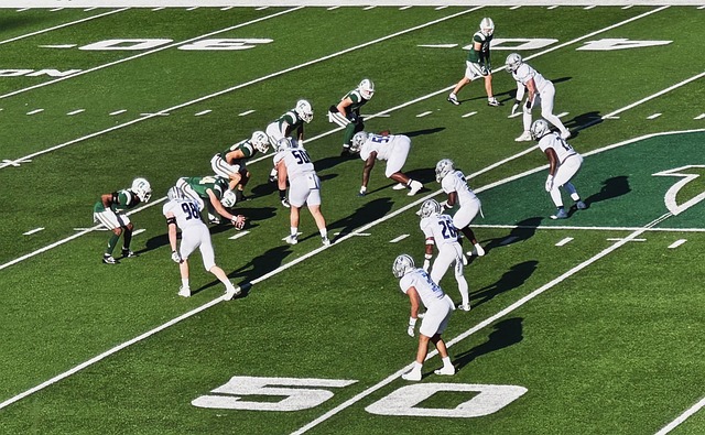 预示着他们 预示着他们