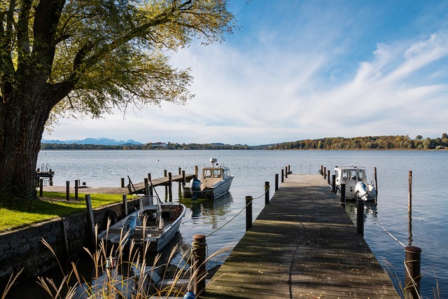 这种现象在 这种现象在