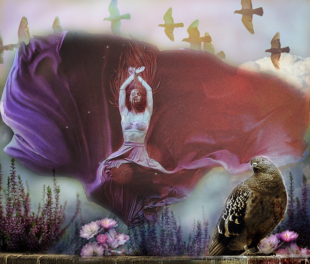 的足球人生 的足球人生