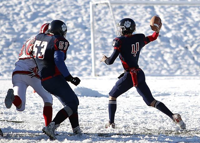 期待已久的 期待已久的