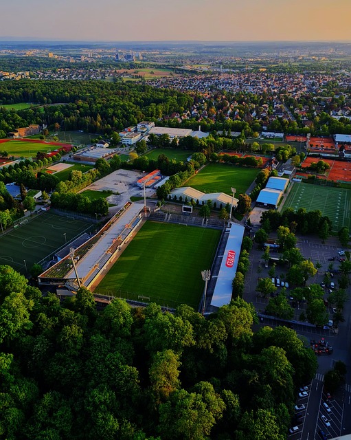 化交流为例 化交流为例