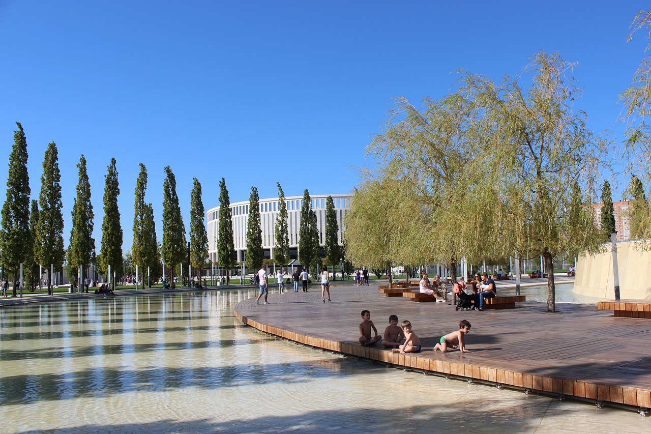 的文字说明 的文字说明