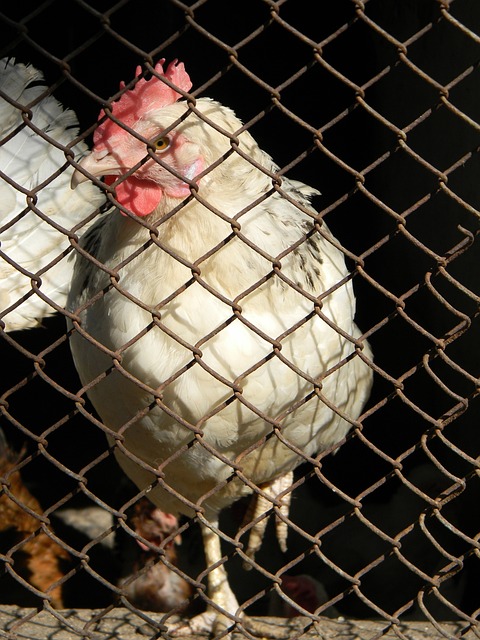需要重新审 需要重新审